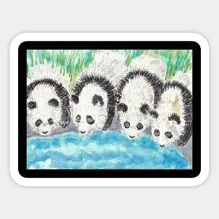 Panda bear drinking water Sticker